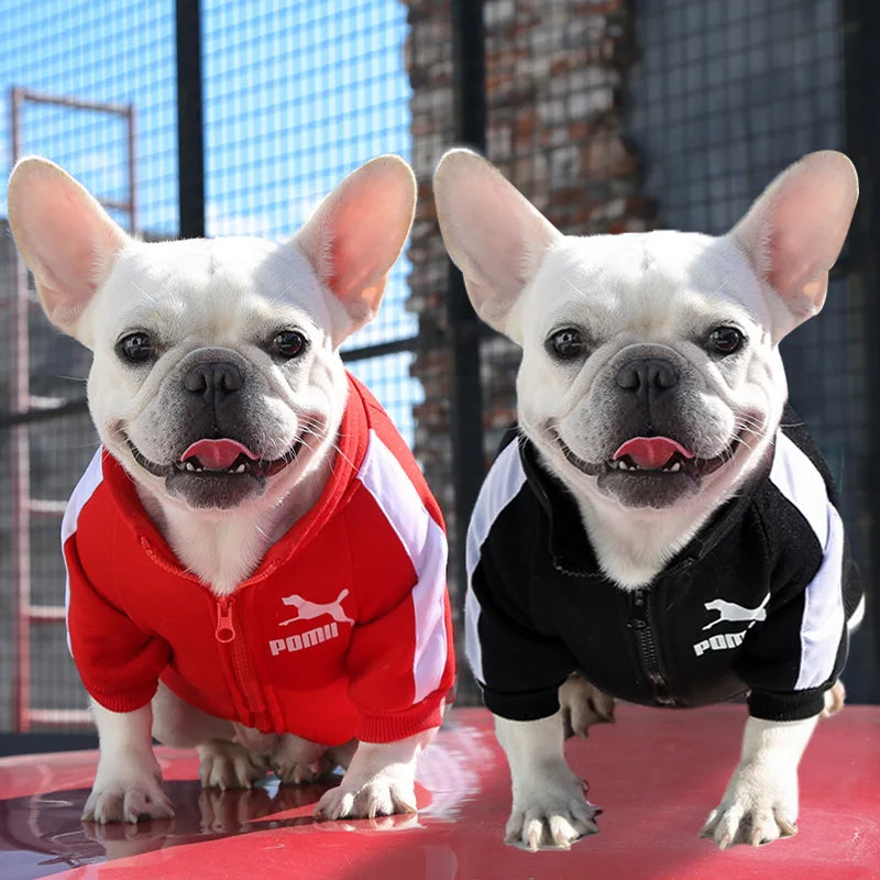 Jaqueta de Beisebol para Cachorro