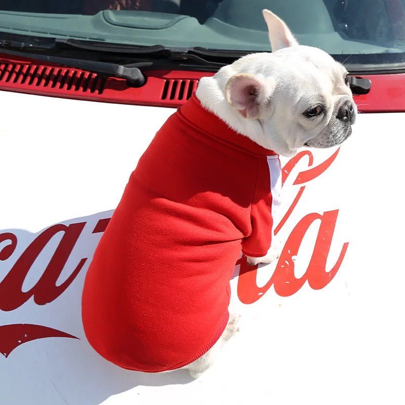 Jaqueta de Beisebol para Cachorro