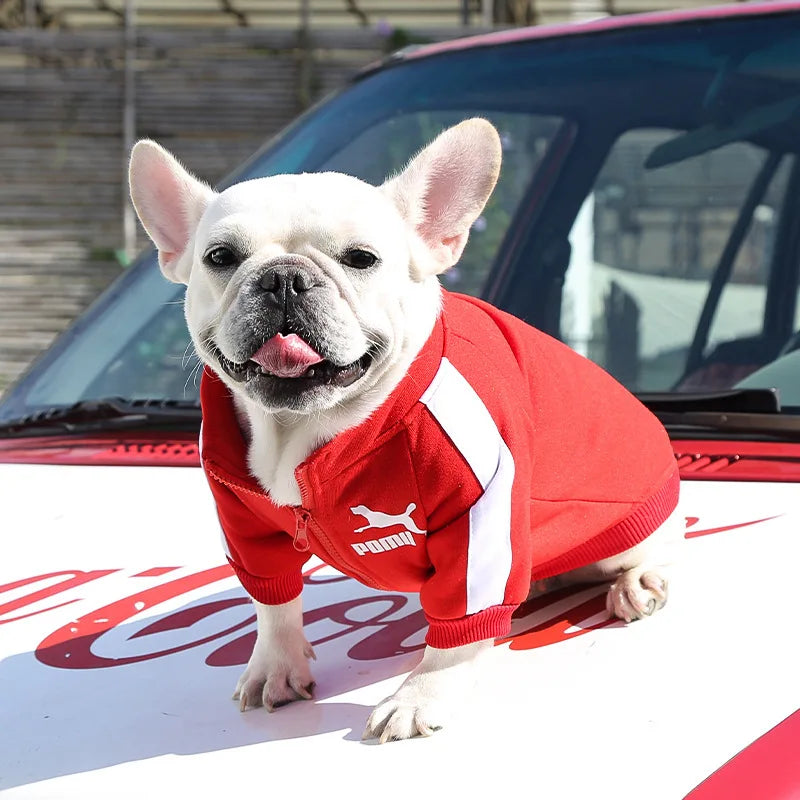 Jaqueta de Beisebol para Cachorro